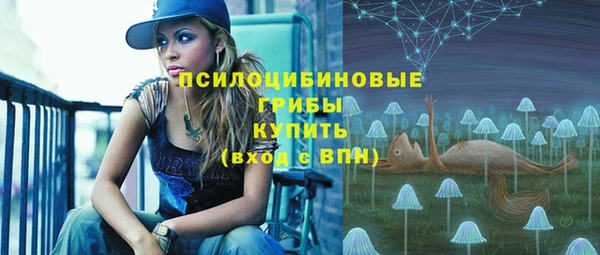 mdpv Осташков