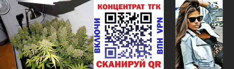 купить закладку  Строитель  ТГК THC oil 