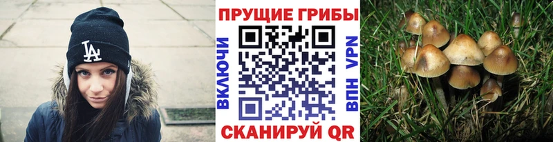 мориарти какой сайт Строитель Галлюциногенные грибы ЛСД гидра