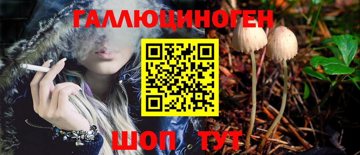 Строитель  Псилоцибиновые грибы прущие грибы  Вход с VPN 
