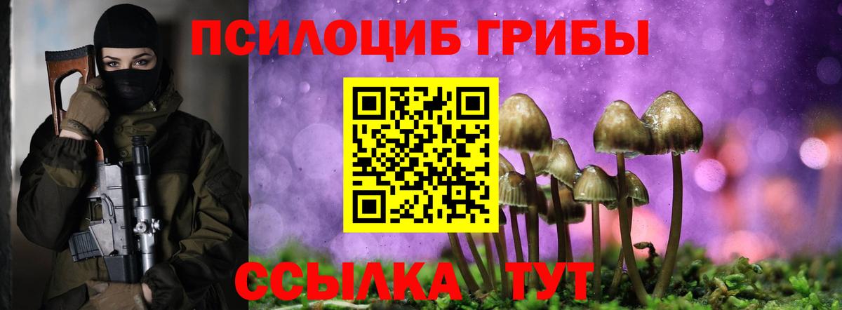 Псилоцибиновые грибы прущие грибы Строитель